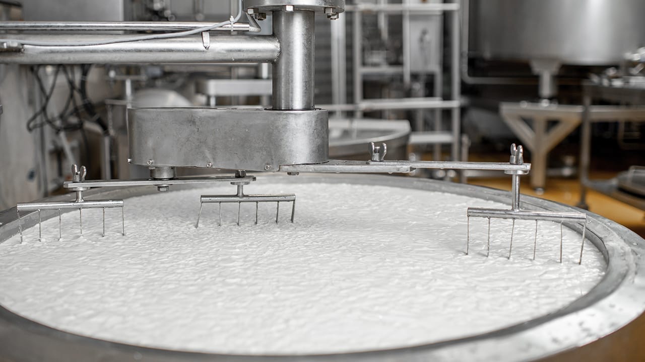 Cream Cheese manufacturing